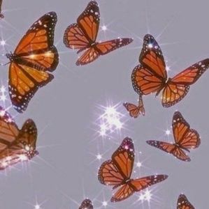 Meet your Posher, Destiny